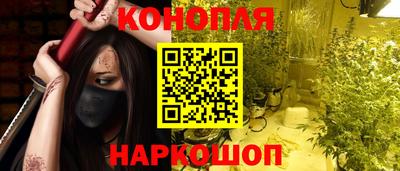 сатива Беслан