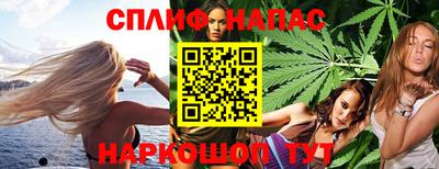сатива Беслан
