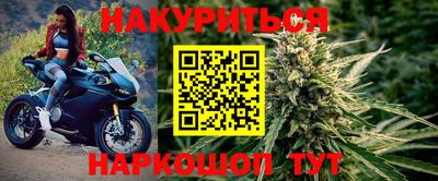 сатива Беслан