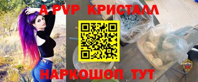 сатива Беслан
