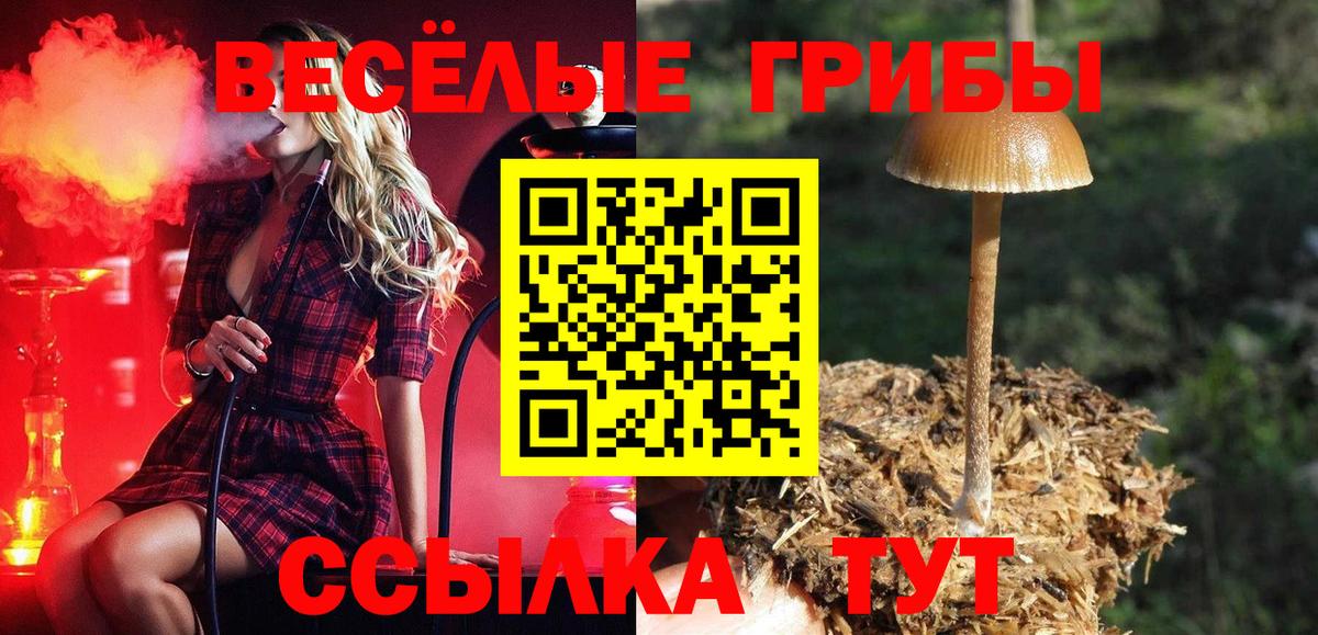 Псилоцибиновые грибы Magic Shrooms Ипатово