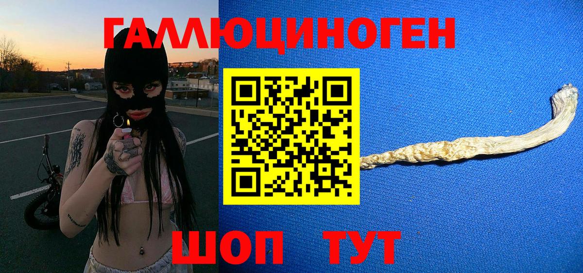 Ипатово  Псилоцибиновые грибы Cubensis  Галлюциногенные грибы прущие грибы  Вход с VPN 